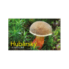 S15-23 Hubársky kalendár