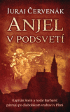 Anjel v podsvetí (Barbarič a Stein 7) Anjel v podsvetí (Barbarič a Stein 7)