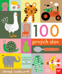 Detail 100 prvých slov