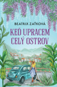 Detail Keď upracem celý ostrov