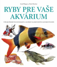 Detail Ryby pre vaše akvárium