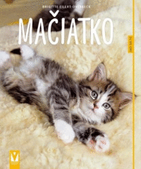 Detail Mačiatko - Ako na to