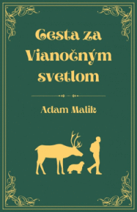 Detail Cesta za Vianočným svetlom