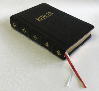 Detail Biblia koža "exclusiv"