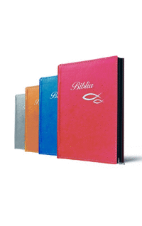Biblia so zipsom