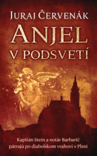Detail Anjel v podsvetí (Barbarič a Stein 7)
