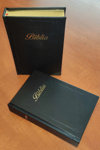 Biblia  2015 - koža