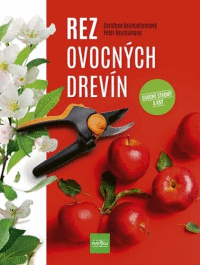 Detail Rez ovocných drevín