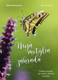 Detail Moja motýlia záhrada