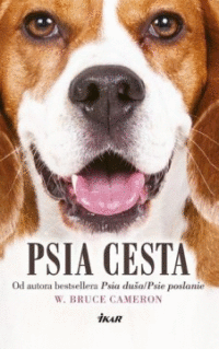 Detail Psia cesta