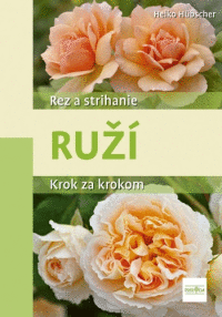 Detail Rez a strihanie ruží