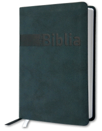 Biblia Rohacek siva
