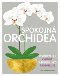 Detail Spokojná orchidea