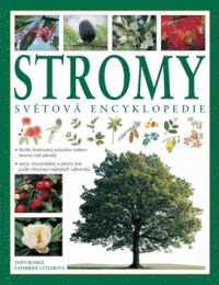 Detail Stromy (Světová encyklopedie)