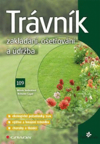 Detail Trávník